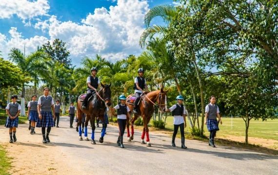 Equestrian Stable Image