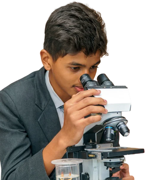 Secondary School Image