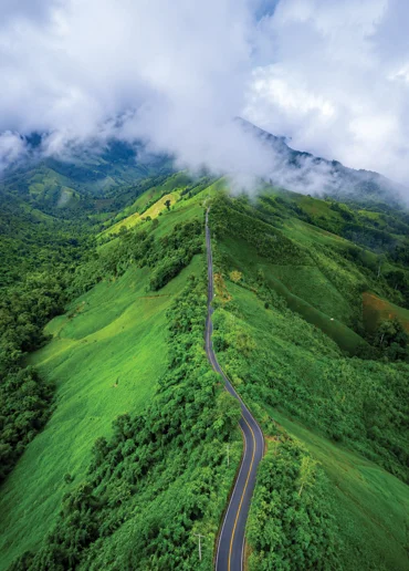 Nature Image